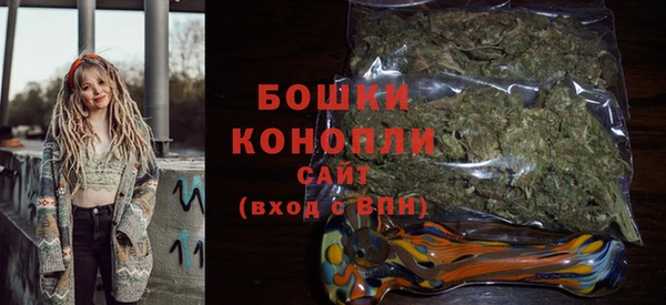 PSILOCYBIN Покачи