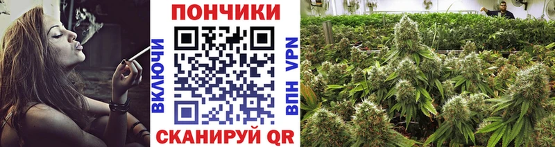Конопля MAZAR  где можно купить   Серов 